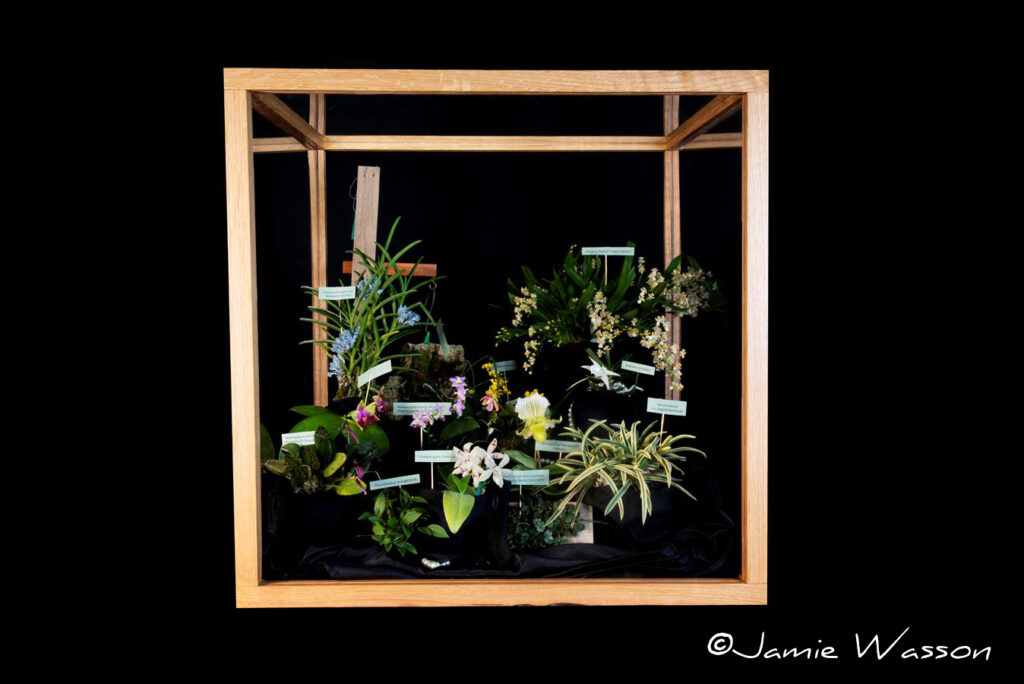 AOS Silver Certificate